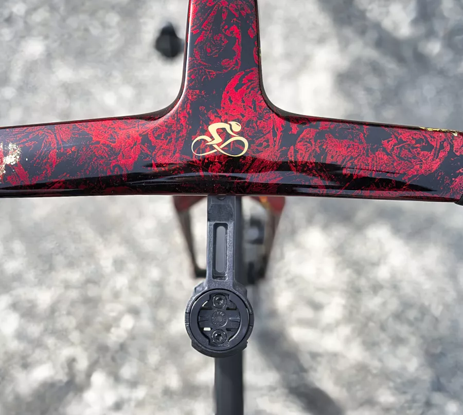Détail du logo Bike4All peint à la main avec effet doré sur un BMC Teammachine